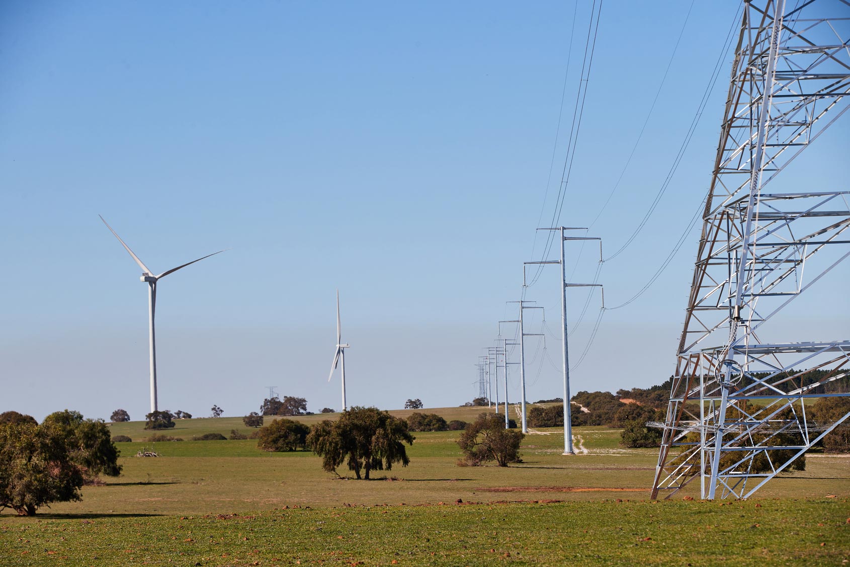 Transmission tower and lines with wind turbines alongside