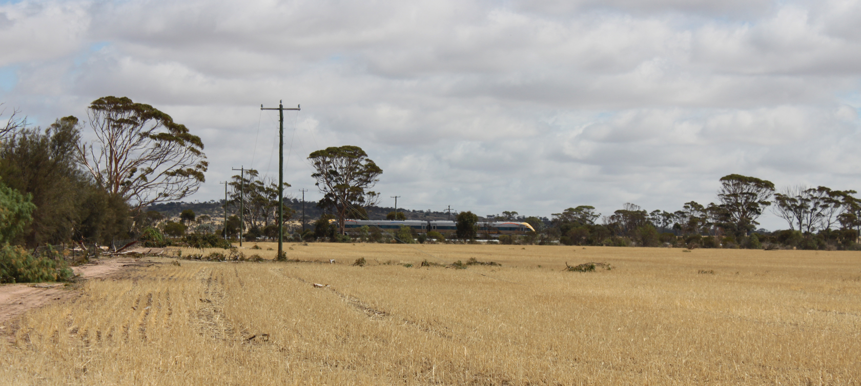 Train passing through a dry farmland with trees and power poles under a cloudy sky.A t